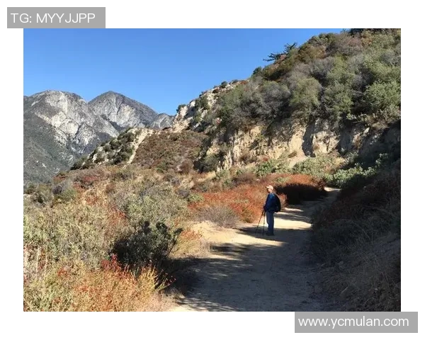 足球明星假扮老人挑战极限 颠覆传统角色探索人生真谛 足球明星假扮老人挑战极限 颠覆传统角色探索人生真谛