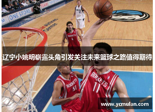 辽宁小姚明崭露头角引发关注未来篮球之路值得期待